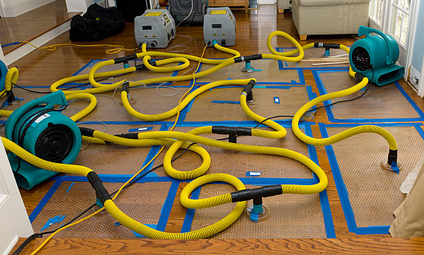 Professional Burst Pipe Water Damage technician working in Long Beach, MS